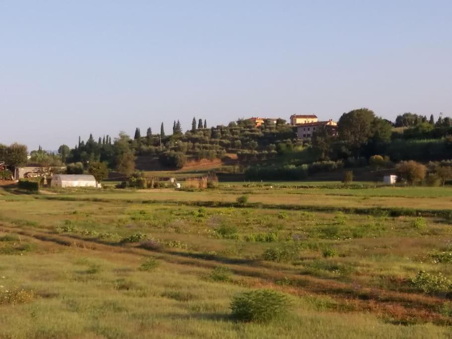 Podere Gian Battaglia フチェッキオ エクステリア 写真