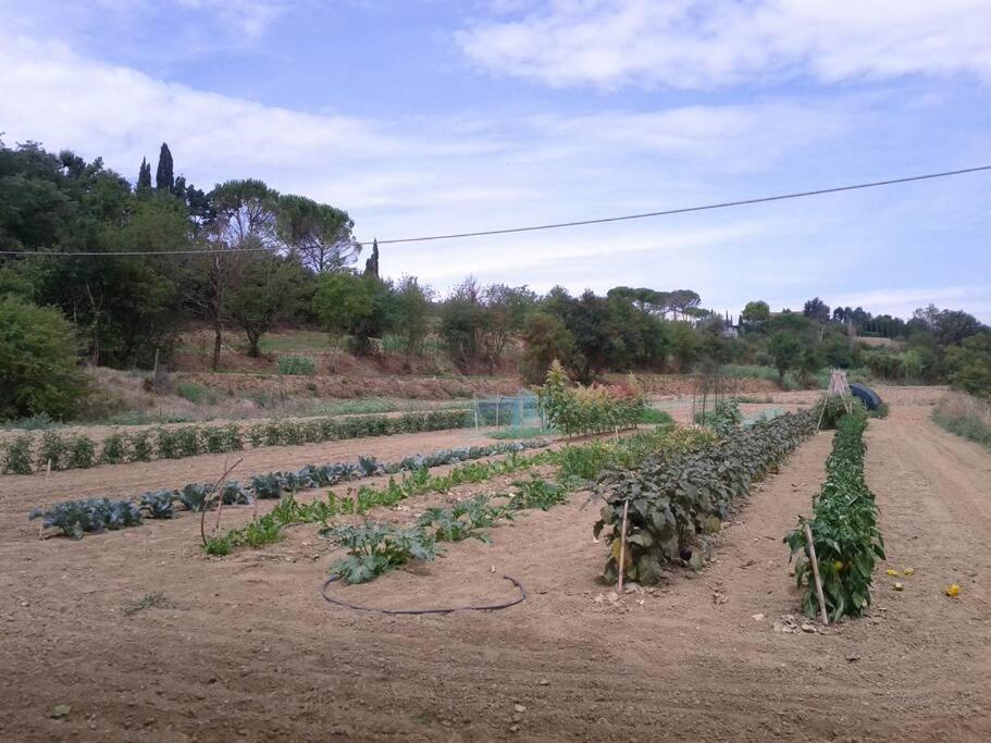 Podere Gian Battaglia フチェッキオ エクステリア 写真