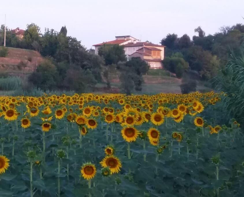 Podere Gian Battaglia フチェッキオ エクステリア 写真