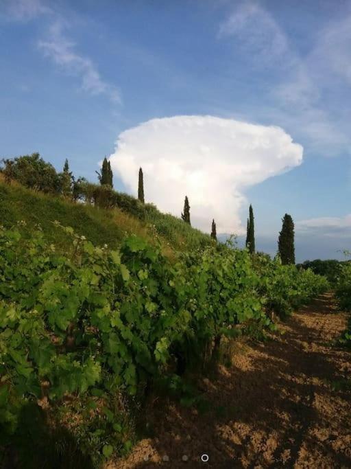 Podere Gian Battaglia フチェッキオ エクステリア 写真