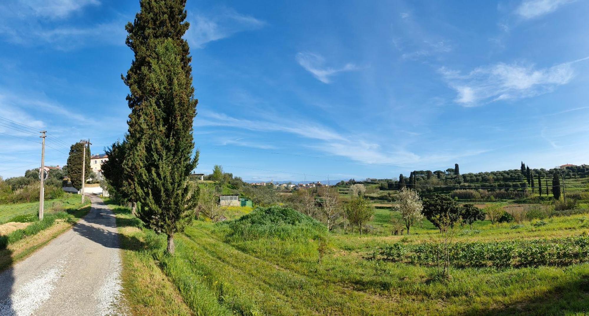 Podere Gian Battaglia フチェッキオ エクステリア 写真