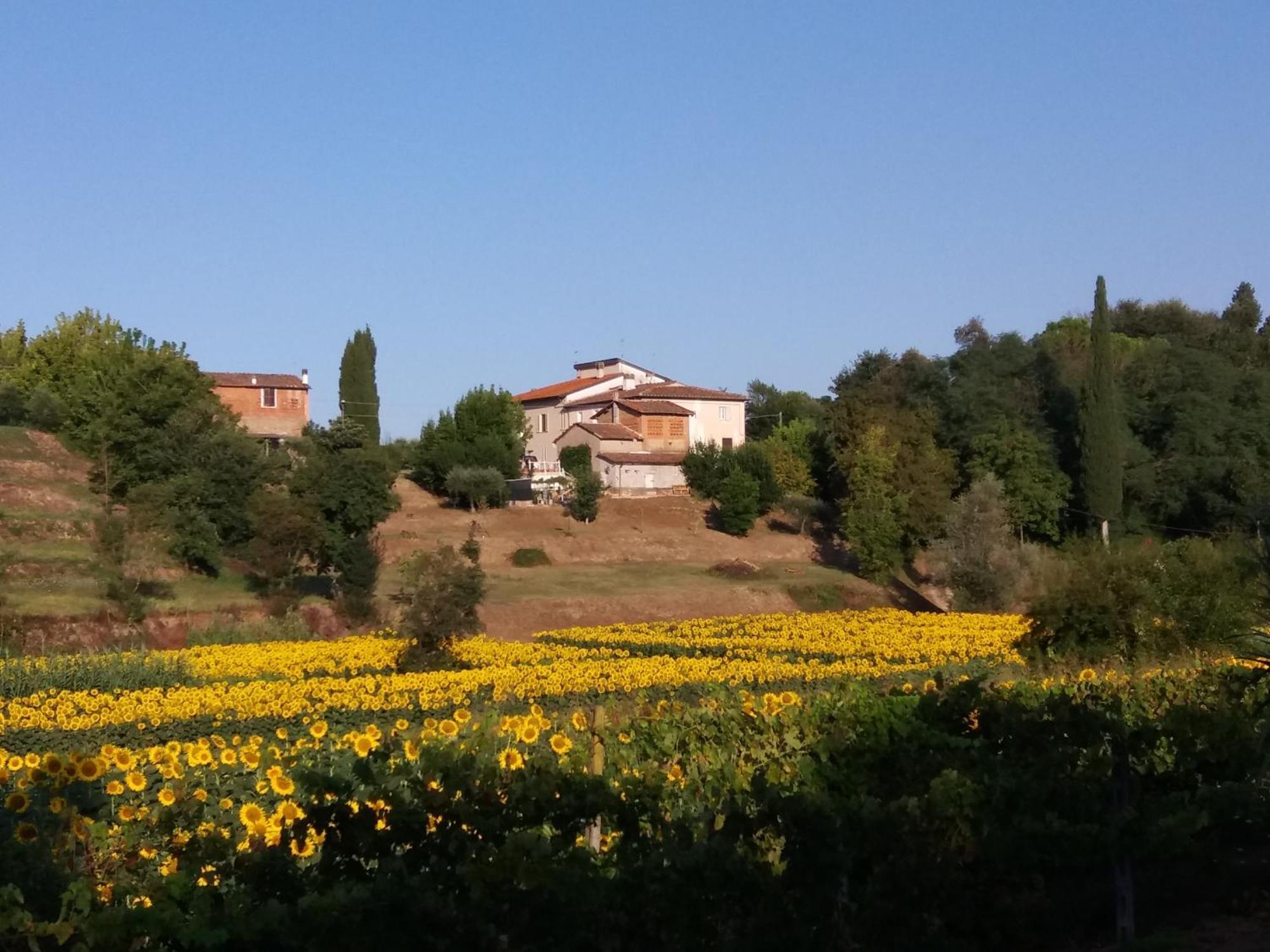 Podere Gian Battaglia フチェッキオ エクステリア 写真